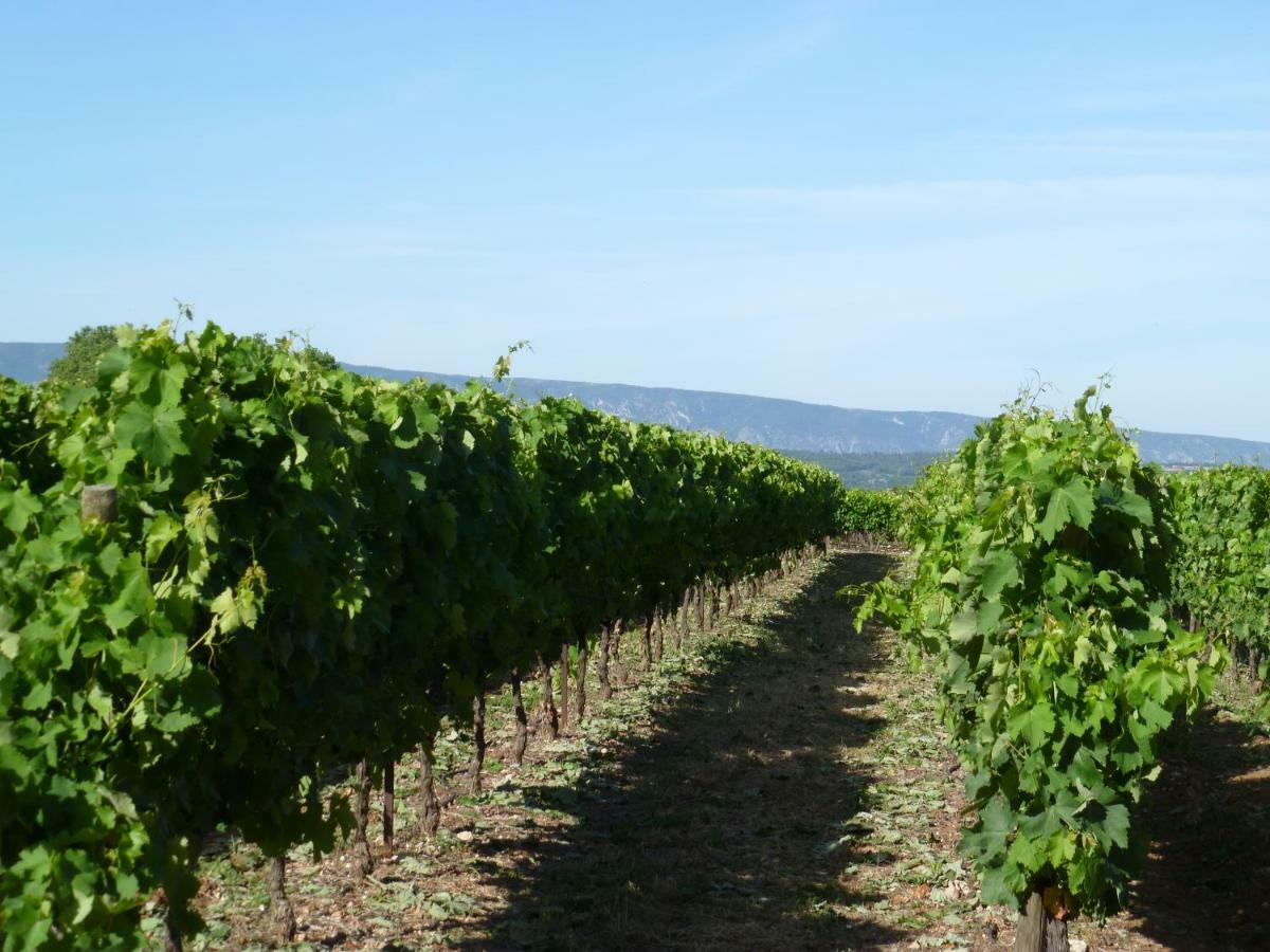 Luberon & Lavandes Roussillon  Ngoại thất bức ảnh